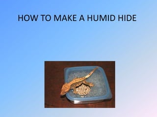 HOW TO MAKE A HUMID HIDE

 