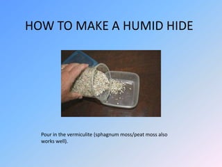 https://image.slidesharecdn.com/howtomakeahumidhide-140213203747-phpapp02/85/how-to-make-a-humid-hide-8-320.jpg?cb=1670599962
