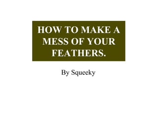 HOW TO MAKE A
MESS OF YOUR
FEATHERS.
By Squeeky
 