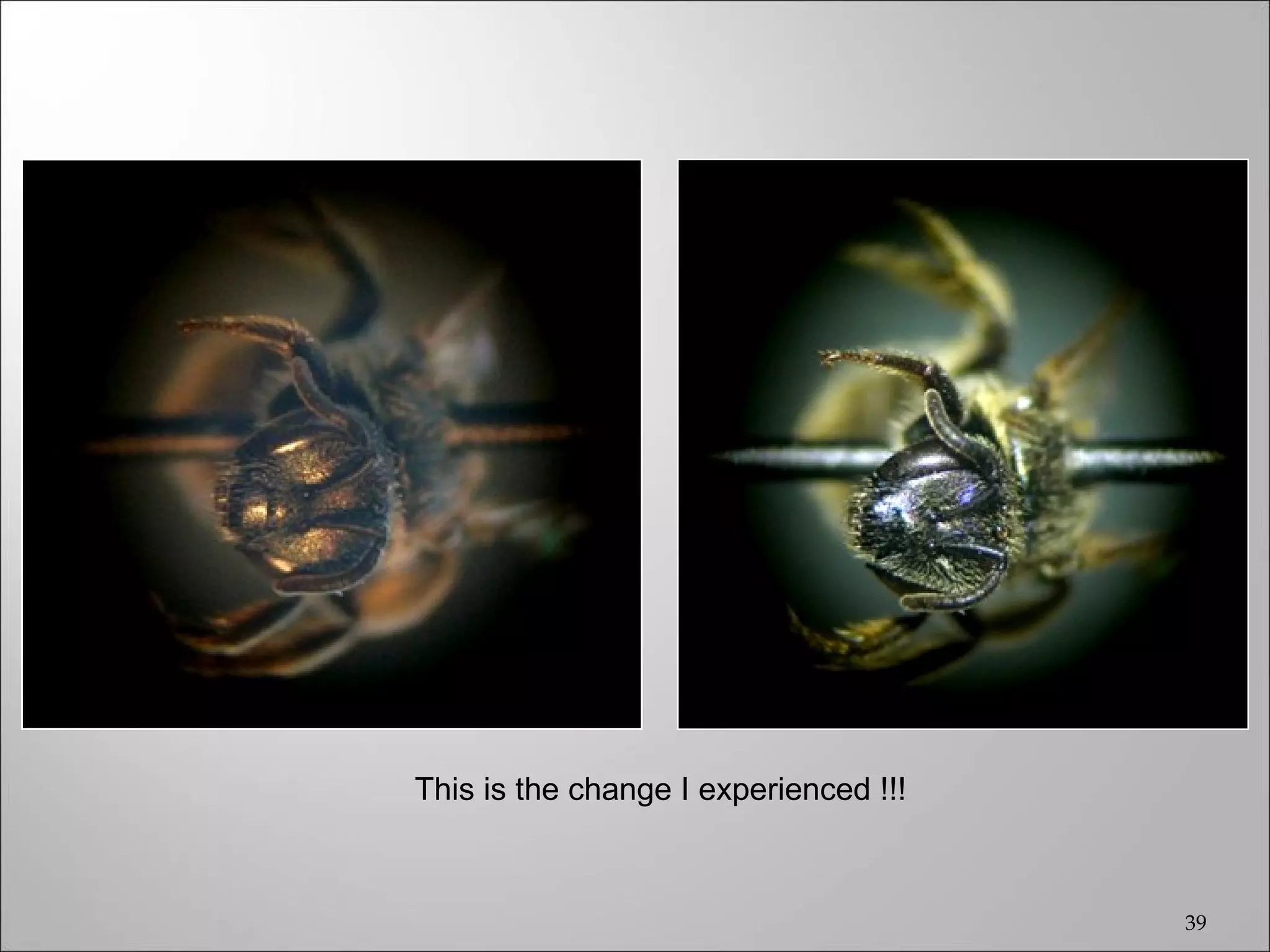 This is the change I experienced !!!



                                       39
 