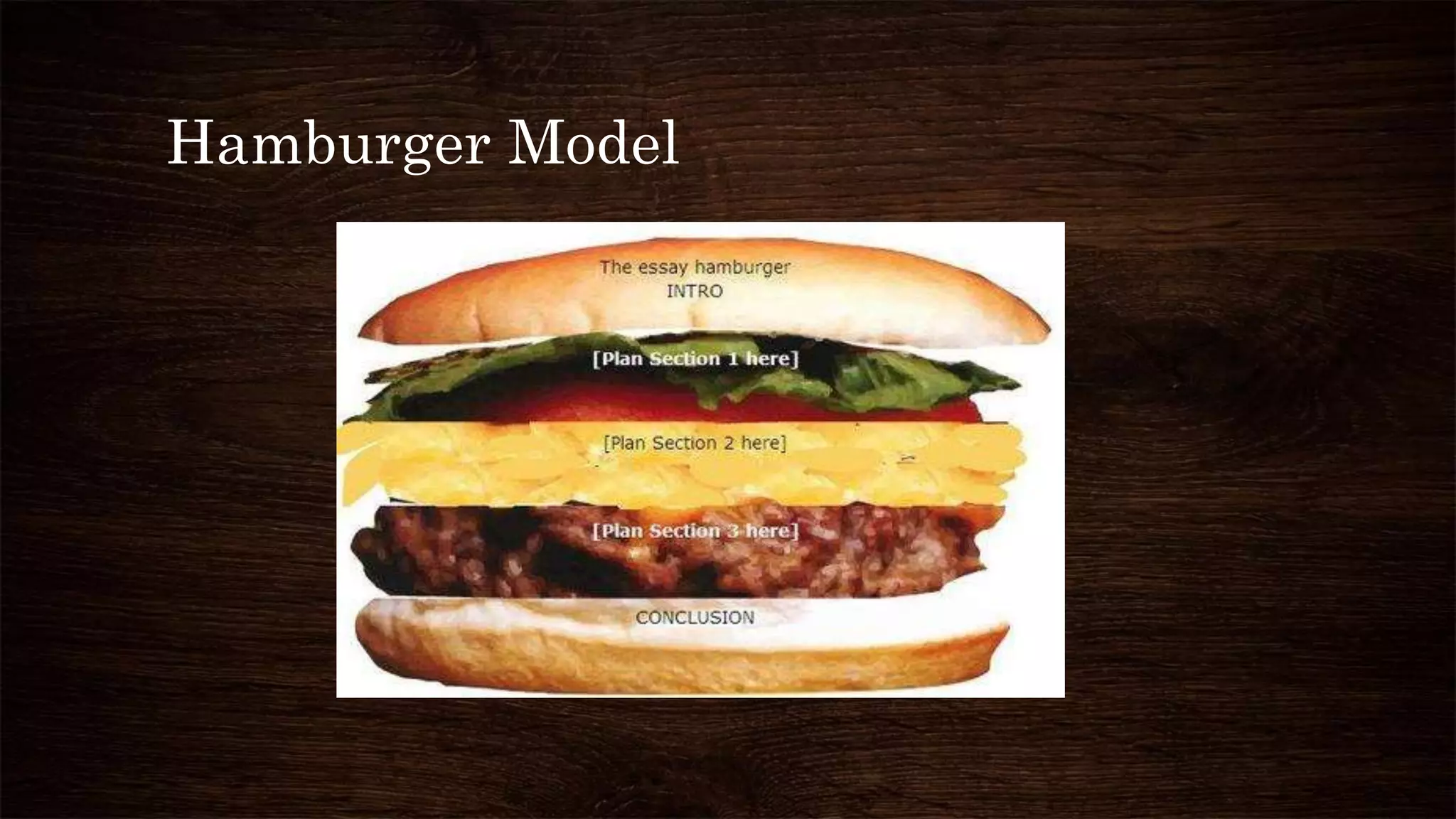 Hamburger Model
 