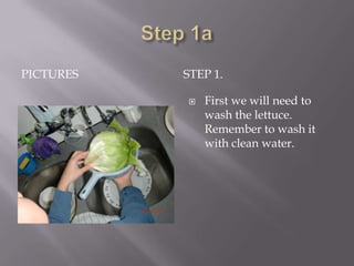 PICTURES   STEP 1.

              First we will need to
               wash the lettuce.
               Remember to wash it
               with clean water.
 
