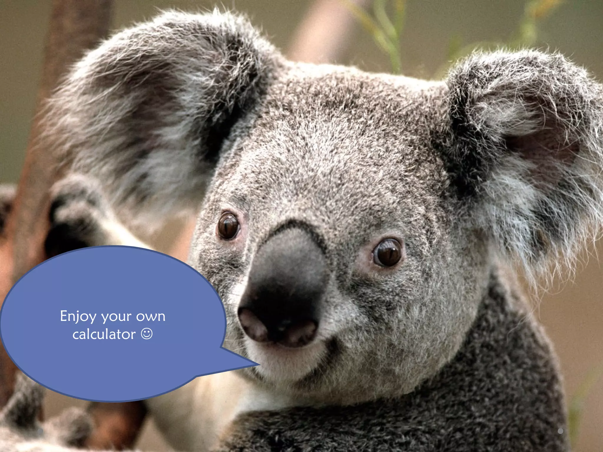 Enjoy your own
calculator 
 