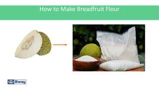 How to Make Breadfruit Flour
 