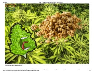 6/17/2021 How to Make Cannabis-Infused Granola Bars at Home
https://cannabis.net/blog/recipes/how-to-make-cannabisinfused-granola-bars-at-home 2/17
MARIJUANA GRANOLA BARS
k bi f d l
 Edit Article (https://cannabis.net/mycannabis/c-blog-entry/update/how-to-make-cannabisinfused-granola-bars-at-home)
 Article List (https://cannabis.net/mycannabis/c-blog)
 