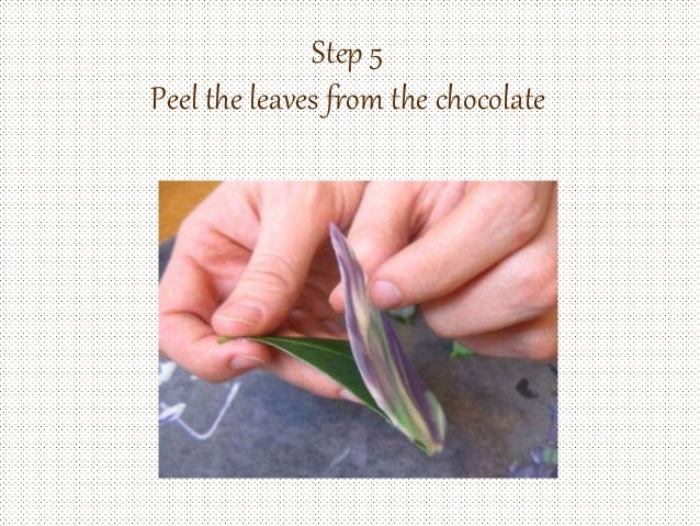 Procedure How to Make Chocolate Leaves Procedure How to Make Chocolate Leaves