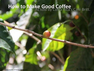 How to Maketold by Costa Rica’s Café Britt.
                    As
                       Good Coffee




Some photos courtesy of Varvara Marmarinou    By Christy Adkins
 