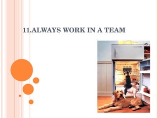 11.ALWAYS WORK IN A TEAM 