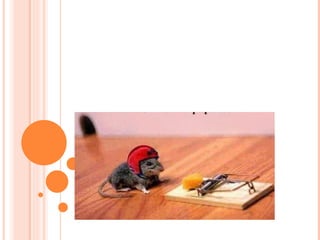 17.BE BRAVE AND COURAGEOUS 