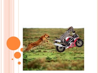 1. HAVE TARGETS AND GOALS 