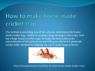 Our website is providing you all the relevant information for home
made cricket trap. Cricket is causing a huge damage to the crops. And
has a huge impact on the crops. So to get the best solution for
extermination of this pest we are providing you the best homemade
cricket killer methods by helping you out to make traps at home.
http://www.pestremove.com/how-to-make-home-made-cricket-trap/
 