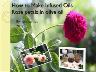 How to Make Infused Oils Rose petals in olive oil By Ilona Lantos 2009 