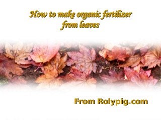 How to make organic fertilizer
from leaves
How to make organic fertilizer
from leaves
From Rolypig.comFrom Rolypig.com
 