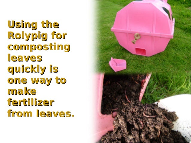 How To Make Organic Fertilizer From Leaves