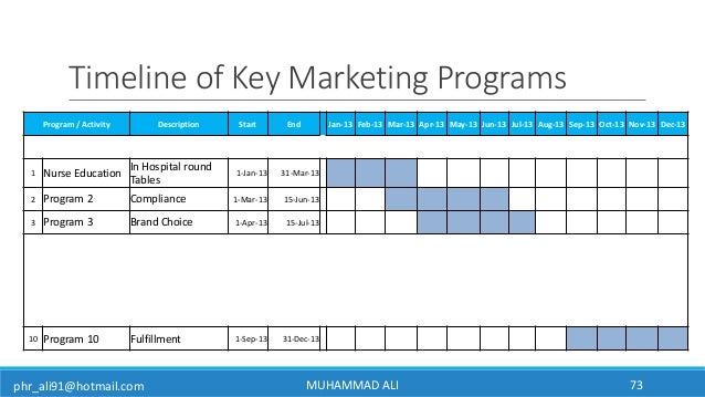 how to make pharmaceutical marketing plan marketing timeline