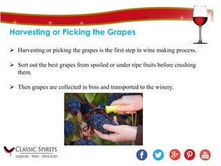 Harvesting or Picking the Grapes
 Harvesting or picking the grapes is the first step in wine making process.
 Sort out the best grapes from spoiled or under ripe fruits before crushing
them.
 Then grapes are collected in bins and transported to the winery.
 