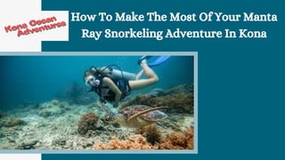 How To Make The Most Of Your Manta
Ray Snorkeling Adventure In Kona
 