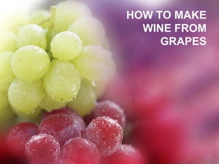 HOW TO MAKE
  WINE FROM
     GRAPES
 