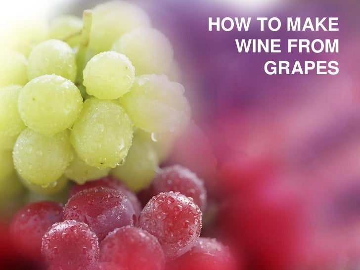 How to make wine from grapes