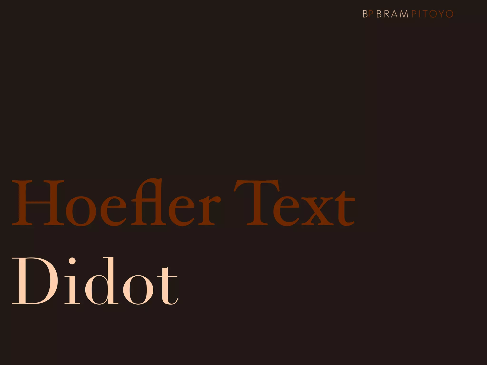 Hoeﬂer Text
Didot
 