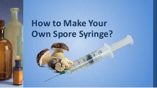 How to Make Your
Own Spore Syringe?
 