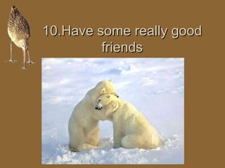 1100..HHaavvee ssoommee rreeaallllyy ggoooodd 
ffrriieennddss 
 
