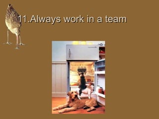 1111..AAllwwaayyss wwoorrkk iinn aa tteeaamm 
 