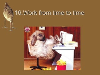 1166..WWoorrkk ffrroomm ttiimmee ttoo ttiimmee 
 