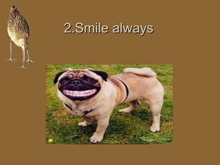 22..SSmmiillee aallwwaayyss 
 