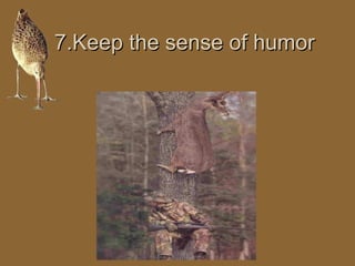 77..KKeeeepp tthhee sseennssee ooff hhuummoorr 
 