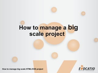 How to manage a  big scale project    