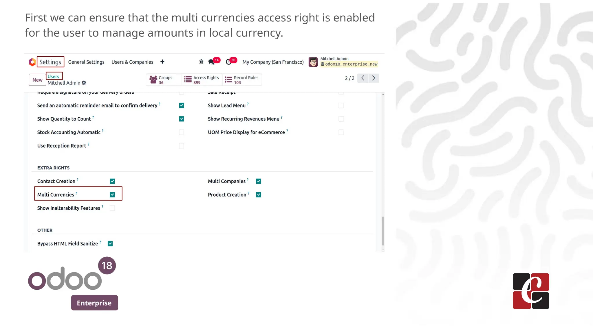 Enterprise
First we can ensure that the multi currencies access right is enabled
for the user to manage amounts in local currency.
 
