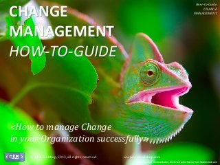 How-to-Guide
CHANGE
MANAGEMENT

CHANGE
MANAGEMENT
HOW-TO-GUIDE

<How to manage Change
in your Organization successfully>
©HRM Toolshop, 2013, all rights reserved

www.hrmtoolshop.com
Image Copyright Andrew Buckin, 2013 Used under license from Shutterstock.com

 