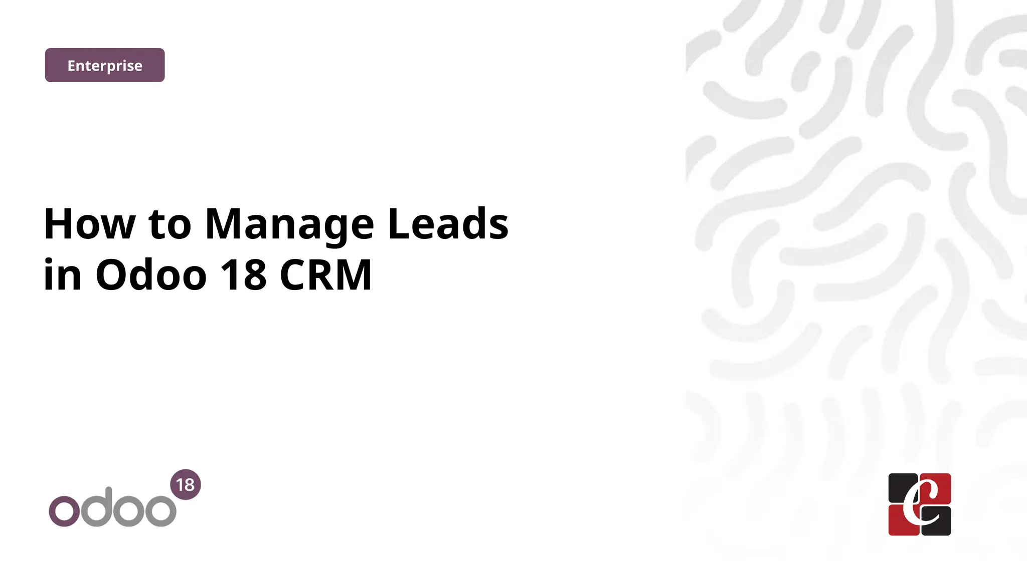 How to Manage Leads
in Odoo 18 CRM
Enterprise
 