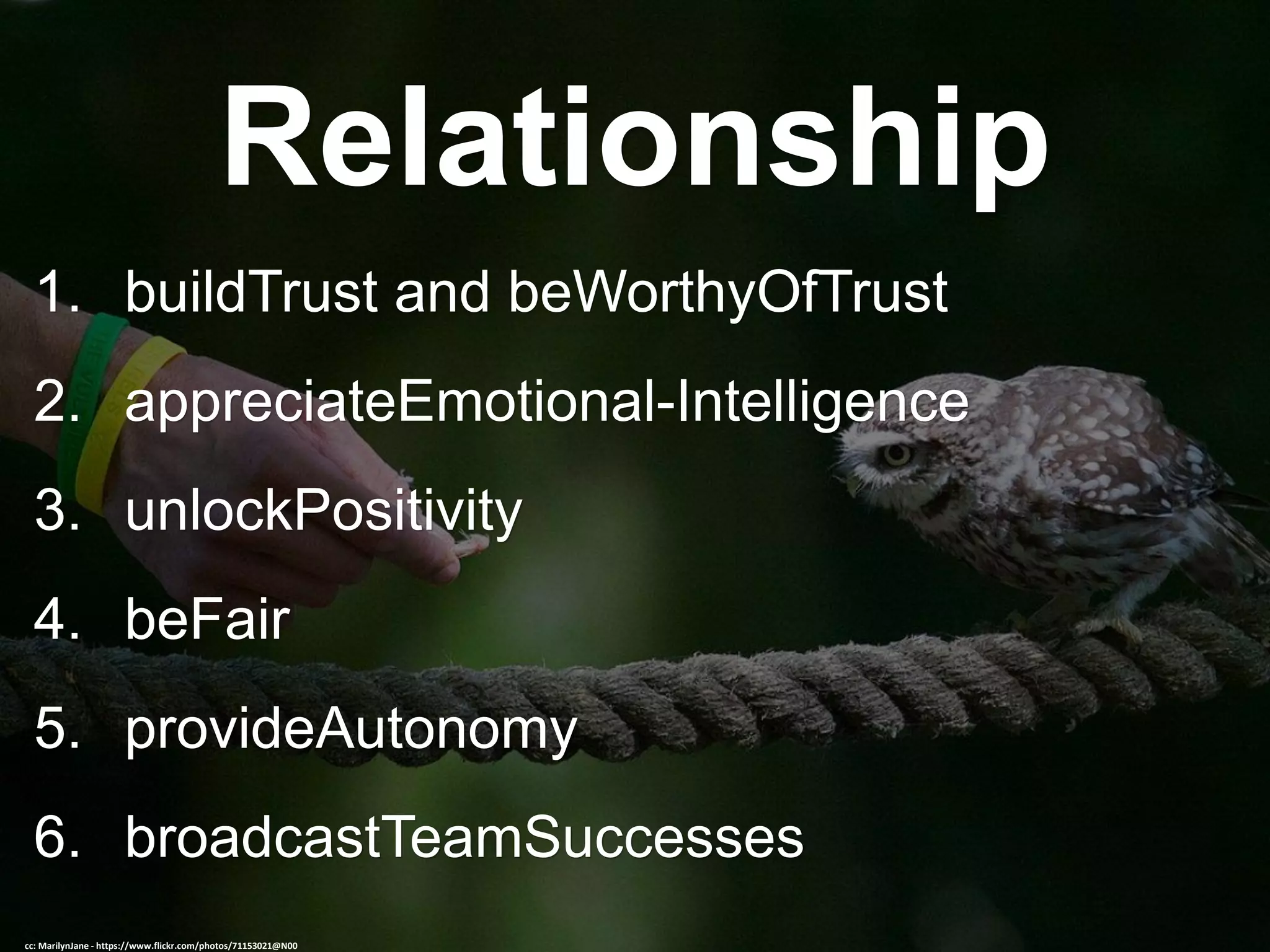 Relationship
1. buildTrust and beWorthyOfTrust
2. appreciateEmotional-Intelligence
3. unlockPositivity
4. beFair
5. provideAutonomy
6. broadcastTeamSuccesses
cc: MarilynJane - https://www.flickr.com/photos/71153021@N00
 