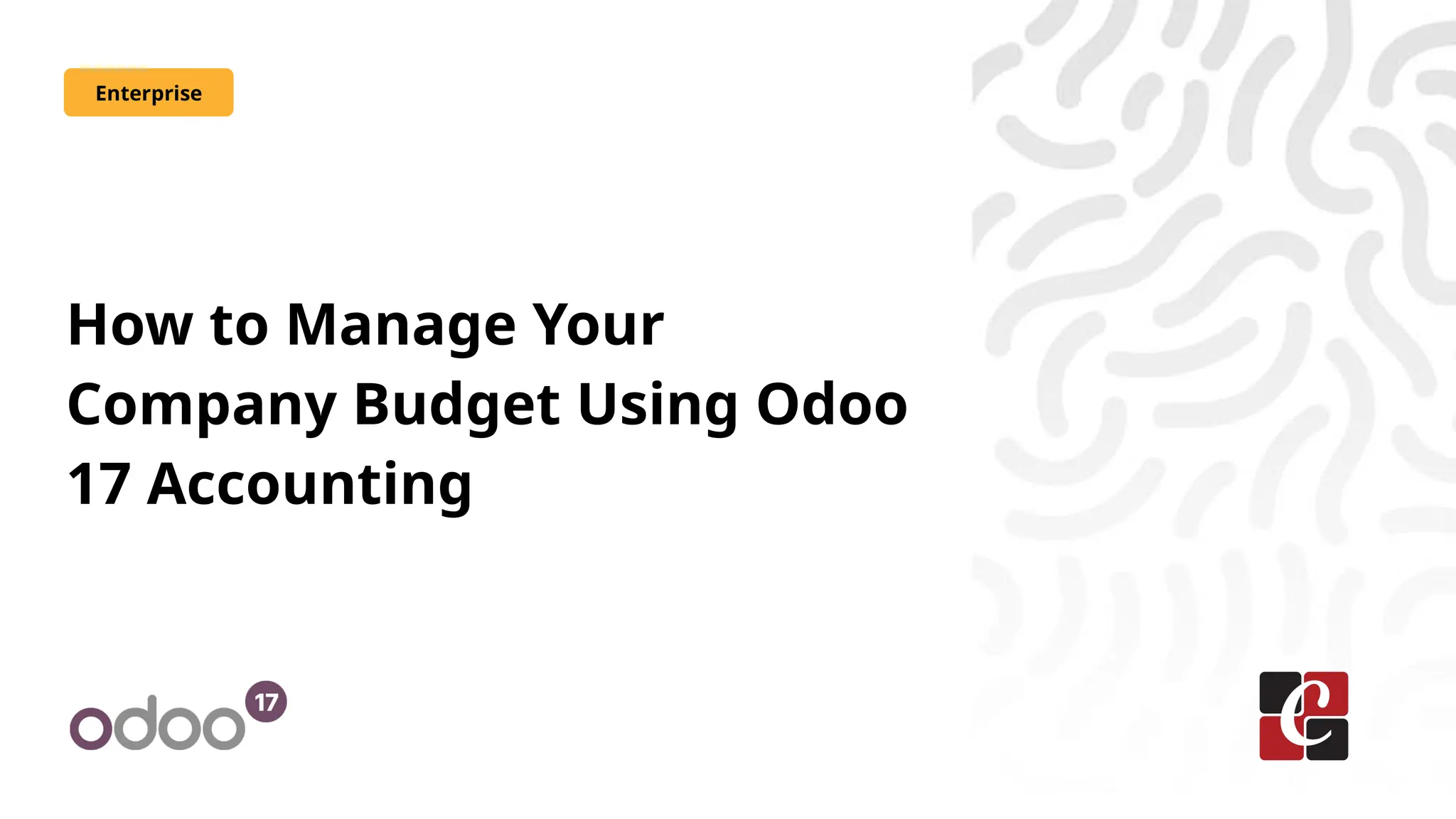 How to Manage Your
Company Budget Using Odoo
17 Accounting
Enterprise
 
