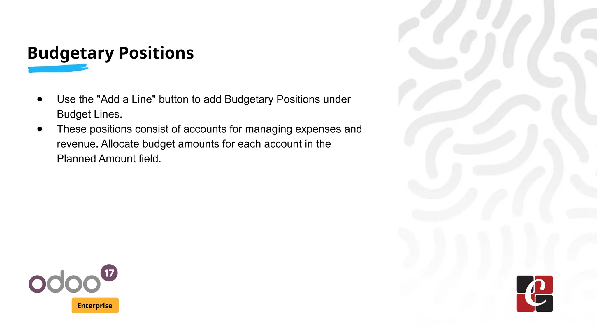 Budgetary Positions
Enterprise
● Use the "Add a Line" button to add Budgetary Positions under
Budget Lines.
● These positions consist of accounts for managing expenses and
revenue. Allocate budget amounts for each account in the
Planned Amount field.
 