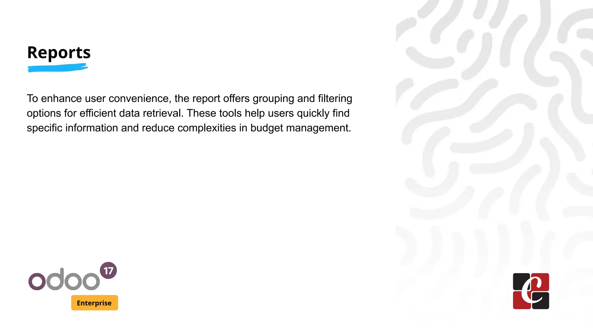 Reports
Enterprise
To enhance user convenience, the report offers grouping and filtering
options for efficient data retrieval. These tools help users quickly find
specific information and reduce complexities in budget management.
 