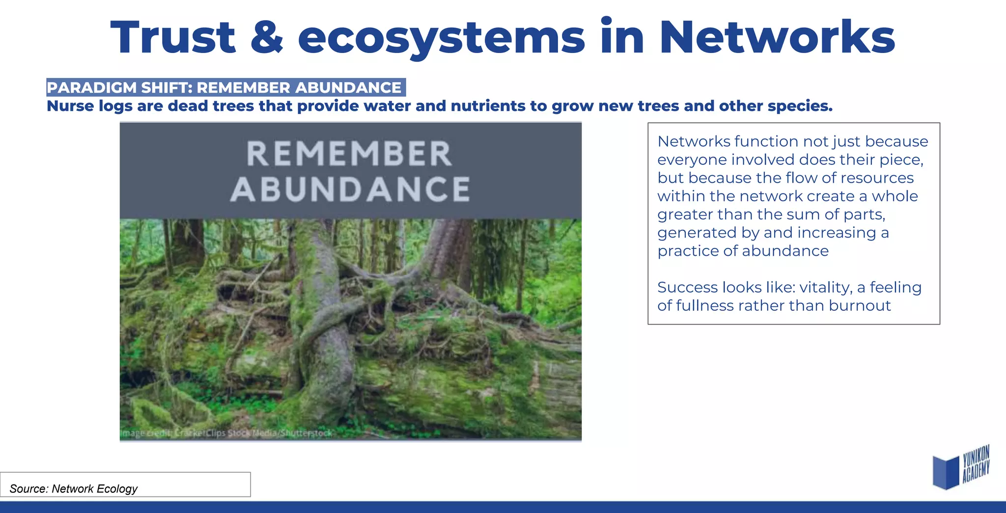 Networks function not just because
everyone involved does their piece,
but because the flow of resources
within the network create a whole
greater than the sum of parts,
generated by and increasing a
practice of abundance
Success looks like: vitality, a feeling
of fullness rather than burnout
Source: Network Ecology
PARADIGM SHIFT: REMEMBER ABUNDANCE
Nurse logs are dead trees that provide water and nutrients to grow new trees and other species.
Trust & ecosystems in Networks
 