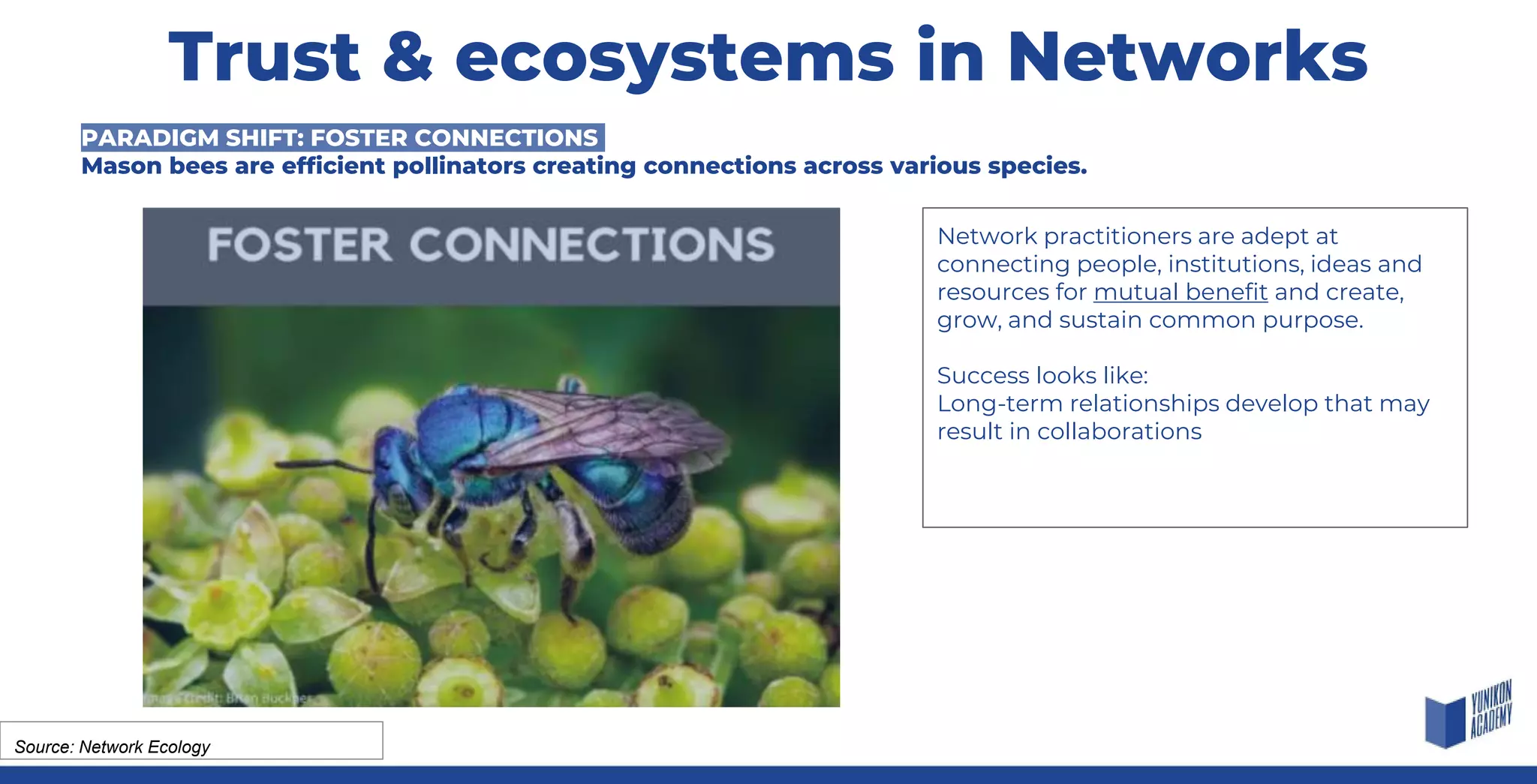 Network practitioners are adept at
connecting people, institutions, ideas and
resources for mutual benefit and create,
grow, and sustain common purpose.
Success looks like:
Long-term relationships develop that may
result in collaborations
Source: Network Ecology
PARADIGM SHIFT: FOSTER CONNECTIONS
Mason bees are efficient pollinators creating connections across various species.
Trust & ecosystems in Networks
 