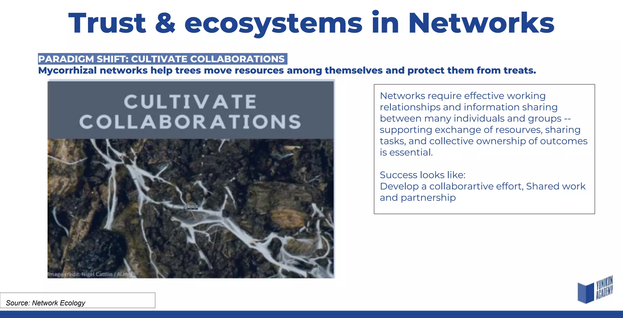 Networks require effective working
relationships and information sharing
between many individuals and groups --
supporting exchange of resourves, sharing
tasks, and collective ownership of outcomes
is essential.
Success looks like:
Develop a collaborartive effort, Shared work
and partnership
Source: Network Ecology
PARADIGM SHIFT: CULTIVATE COLLABORATIONS
Mycorrhizal networks help trees move resources among themselves and protect them from treats.
Trust & ecosystems in Networks
 