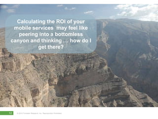 Calculating the ROI of your mobile services  may feel like peering into a bottomless canyon and thinking … how do I get there?