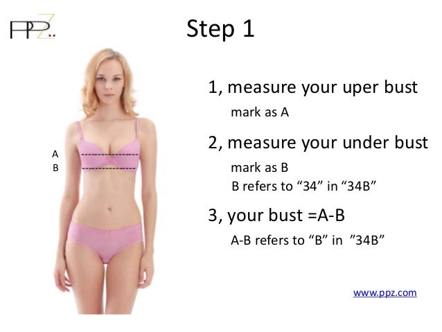 bust size of 34b