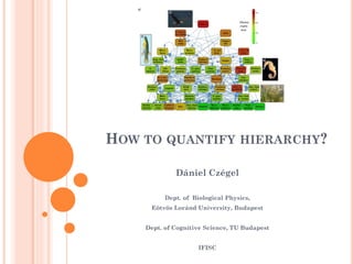 HOW TO QUANTIFY HIERARCHY?
Dániel Czégel
Dept. of Biological Physics,
Eötvös Loránd University, Budapest
Dept. of Cognitive Science, TU Budapest
IFISC