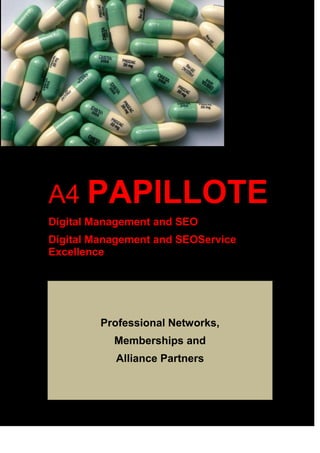 A4 PAPILLOTE
Digital Management and SEO
Digital Management and SEOService
Excellence

Professional Networks,
Memberships and
Alliance Partners

 