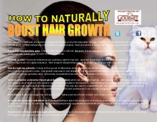 Hair loss affects both men and women. While genetics plays a role, there are other factors, including: hormonal imbalances, an underactive
thyroid gland, nutrient deficiencies and insufficient scalp circulation. Here are natural remedies that can help boost hair growth:
Get enough essential fatty acids: Essential fatty acids from walnuts, flaxseeds, fish and avocado are also important for healthy hair. And try to
make your own wasabi peas for more essential fatty acids.
Cut back on meat: Hormonal imbalances are a primary culprit in hair loss. Japanese researchers also link excessive sebum production in the
scalp to high levels of 5-alpha reductase. Their research indicated that animal fat intake may increase sebum production.
Add the herb saw palmetto: A study in the Journal of Alternative and Complementary Medicine reported that saw palmetto (serenoarepens)
may increase hair growth in men. Hair growth improved in men taking 400 mg of a standardized extract of saw palmetto and 100 mg of beta-
sitosterol (from saw palmetto) daily. Historically, saw palmetto has been used by herbalists for hair loss in both men and women.
Address a possible underactive thyroid gland (hypothyroidism) which can cause thinning hair: Add sea vegetables like kelp,nori, dulse, kombu
and wakame, all of which are rich in iodine may be helpful to balance this condition. Avoid drinking tap water since it typically contains fluorine
and chlorine, two chemicals that inhibit iodine absorption. You may also want to supplement with 100 mg or 1 mL of the herb bladderwrack
(focus vesiculosus) daily. Work with a qualified holistic health care professional if you suspect a sluggish thyroid gland.
Boost bioton: Biotin encourages hair and scalp health. Dietary sources of biotin include: nuts, brown rice and oats.
Boost keratin production with MSM: Methylsulfonylmethane aids in the production of keratin (a protein in the hair) while doing double-duty to
strengthen hair follicles. In one study 100 percent of people who supplemented with MSM showed reduced hair loss and increased growth in
only six weeks.
Rejuvenate hair follicles with B-complex vitamins: 100 mg daily of a B-complex supplement that includes biotin and vitamin B6 can reduce hair
thinning by increasing scalp circulation and rejuvenating hair follicles.
www.gourmetrecipe.com
 