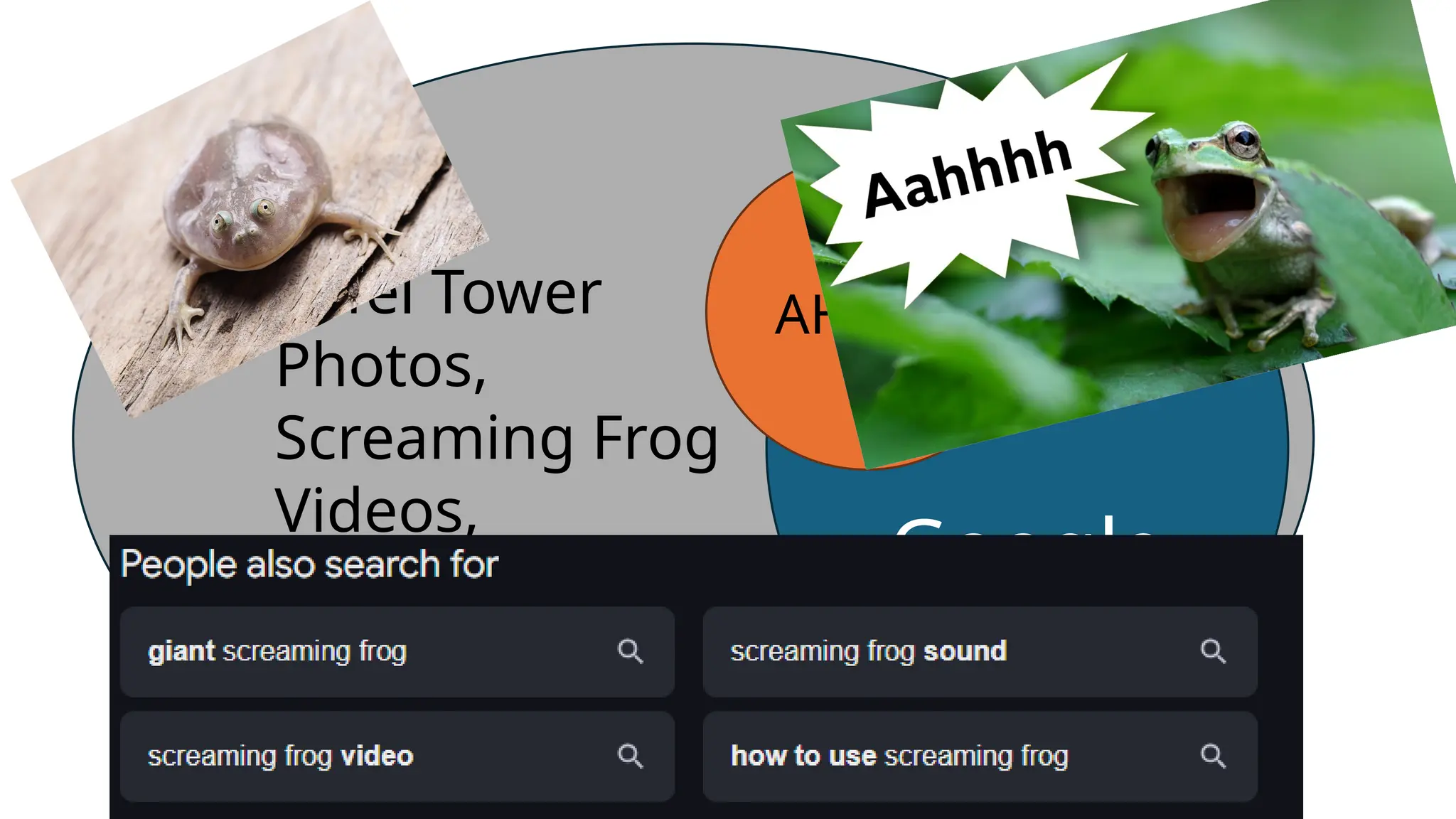 Google
AHTML
Porn,
Eiffel Tower
Photos,
Screaming Frog
Videos,
Free SEO Linkz
Etc.
 