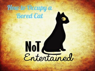 How to Occupy a
Bored Cat
 