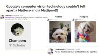 29
Google’s computer vision technology couldn’t tell
apart a Maltese and a Maltipoo(!)
Maltese Maltipoo
 