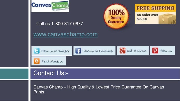 canvas champ contact